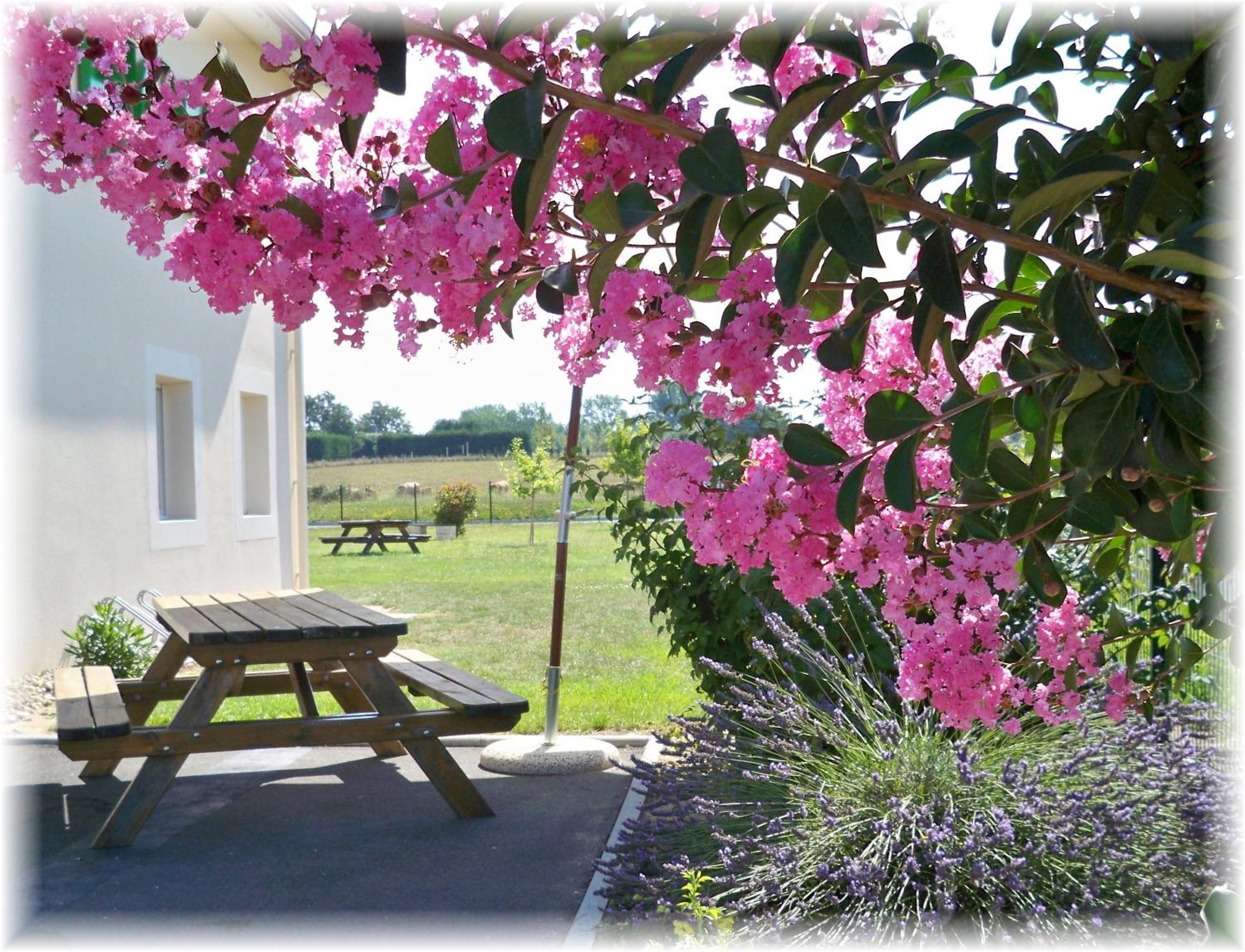 Natur'Hotel Ménesplet Esterno foto